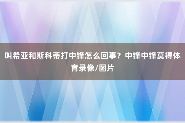 叫希亚和斯科蒂打中锋怎么回事？中锋中锋莫得体育录像/图片
