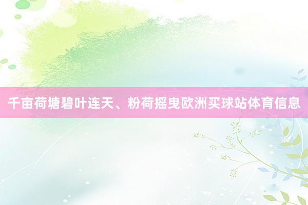 千亩荷塘碧叶连天、粉荷摇曳欧洲买球站体育信息