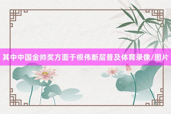 其中中国金帅奖方面于根伟断层普及体育录像/图片