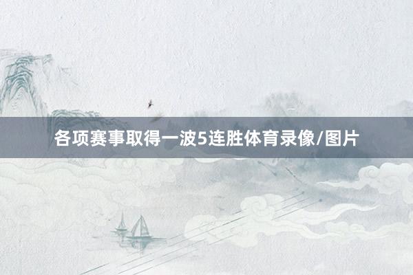 各项赛事取得一波5连胜体育录像/图片