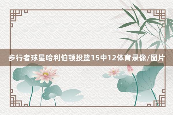 步行者球星哈利伯顿投篮15中12体育录像/图片