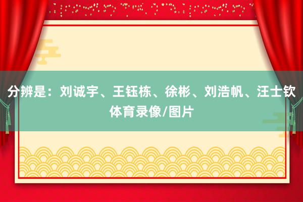 分辨是：刘诚宇、王钰栋、徐彬、刘浩帆、汪士钦体育录像/图片