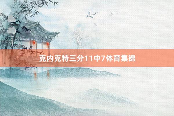 克内克特三分11中7体育集锦