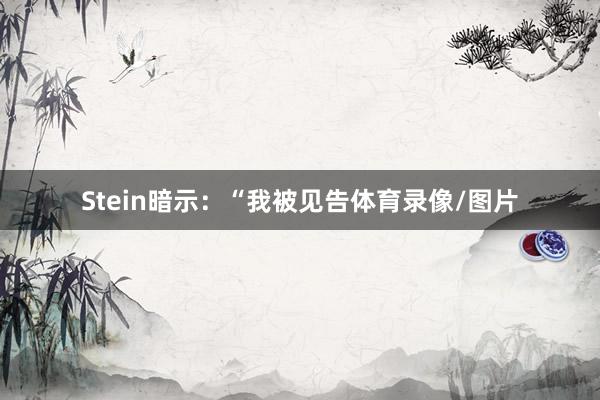 Stein暗示：“我被见告体育录像/图片