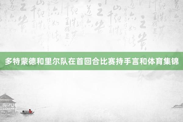 多特蒙德和里尔队在首回合比赛持手言和体育集锦