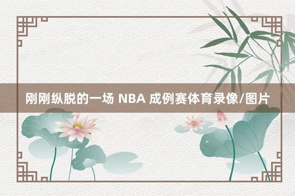 刚刚纵脱的一场 NBA 成例赛体育录像/图片