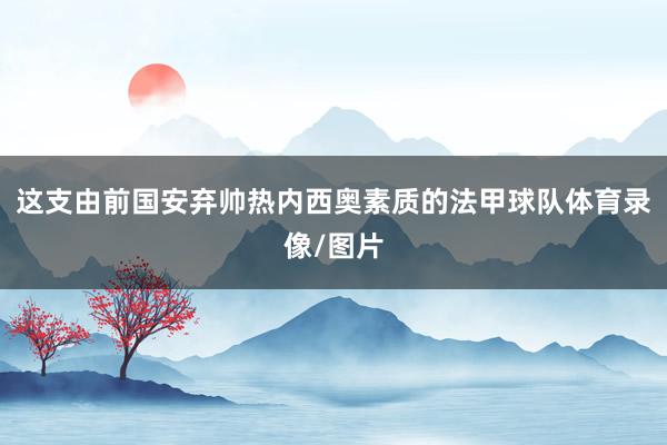 这支由前国安弃帅热内西奥素质的法甲球队体育录像/图片