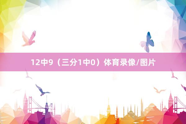 12中9（三分1中0）体育录像/图片