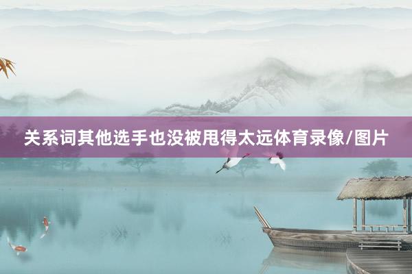 关系词其他选手也没被甩得太远体育录像/图片