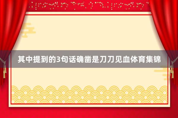 其中提到的3句话确凿是刀刀见血体育集锦