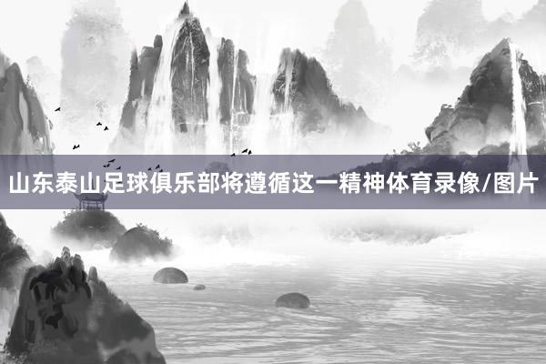 山东泰山足球俱乐部将遵循这一精神体育录像/图片