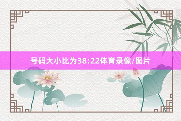号码大小比为38:22体育录像/图片