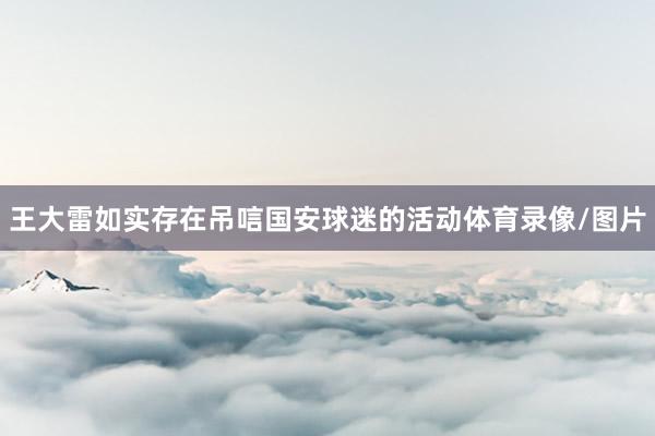 王大雷如实存在吊唁国安球迷的活动体育录像/图片
