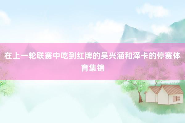 在上一轮联赛中吃到红牌的吴兴涵和泽卡的停赛体育集锦