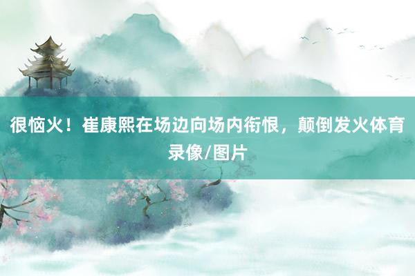 很恼火！崔康熙在场边向场内衔恨，颠倒发火体育录像/图片