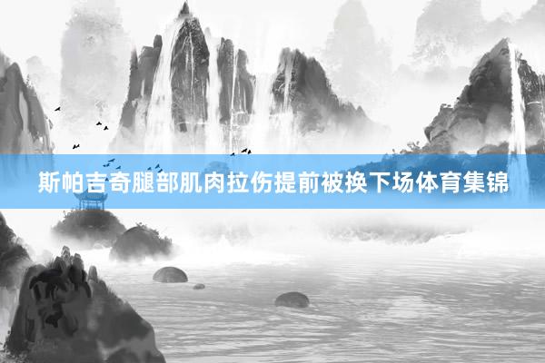 斯帕吉奇腿部肌肉拉伤提前被换下场体育集锦