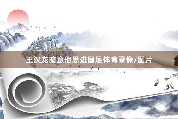 王汉龙暗意他思进国足体育录像/图片