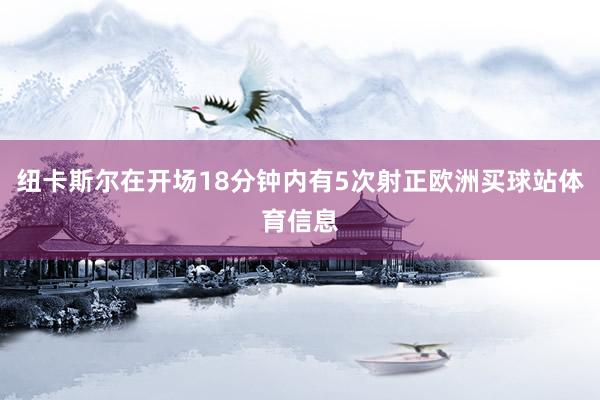 纽卡斯尔在开场18分钟内有5次射正欧洲买球站体育信息