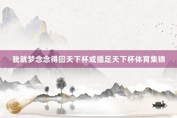 我就梦念念得回天下杯或插足天下杯体育集锦