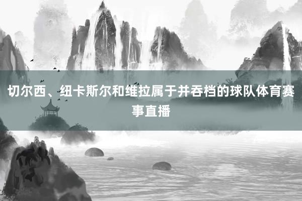 切尔西、纽卡斯尔和维拉属于并吞档的球队体育赛事直播
