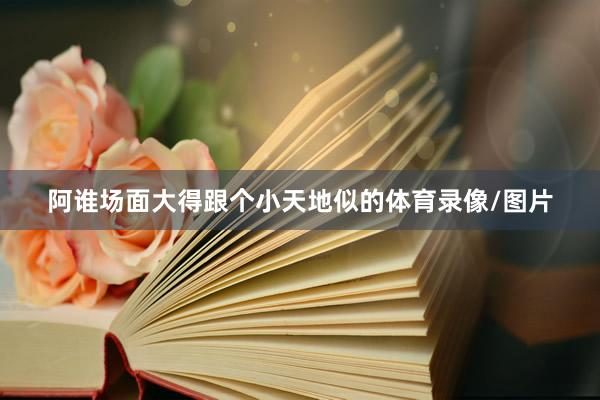 阿谁场面大得跟个小天地似的体育录像/图片