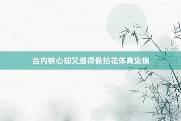 台内铁心却又细得像拈花体育集锦