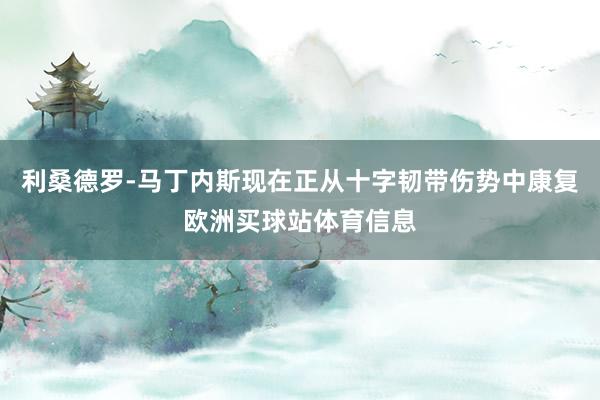 利桑德罗-马丁内斯现在正从十字韧带伤势中康复欧洲买球站体育信息
