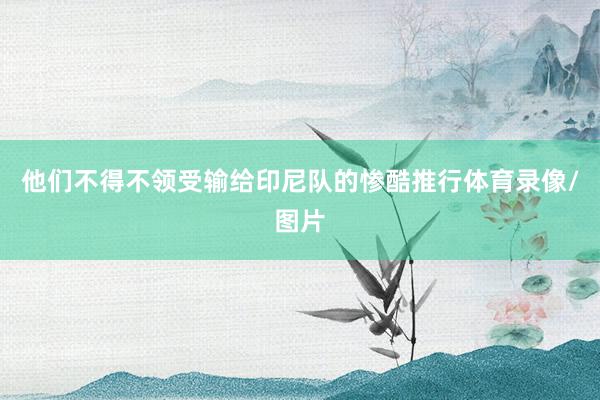 他们不得不领受输给印尼队的惨酷推行体育录像/图片