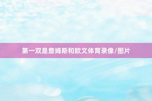 第一双是詹姆斯和欧文体育录像/图片