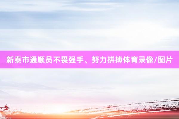 新泰市通顺员不畏强手、努力拼搏体育录像/图片