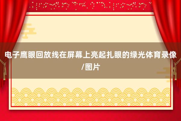 电子鹰眼回放线在屏幕上亮起扎眼的绿光体育录像/图片