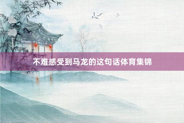 不难感受到马龙的这句话体育集锦