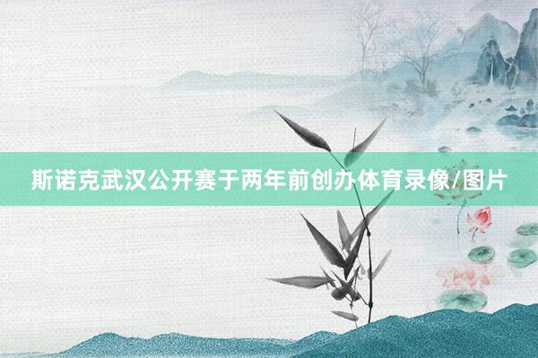斯诺克武汉公开赛于两年前创办体育录像/图片