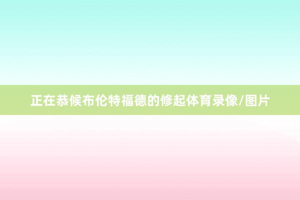 正在恭候布伦特福德的修起体育录像/图片