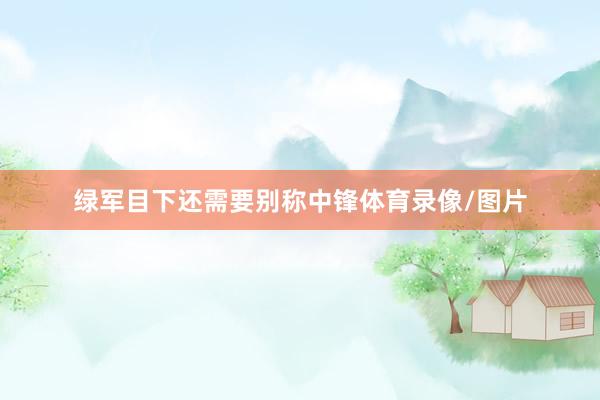 绿军目下还需要别称中锋体育录像/图片