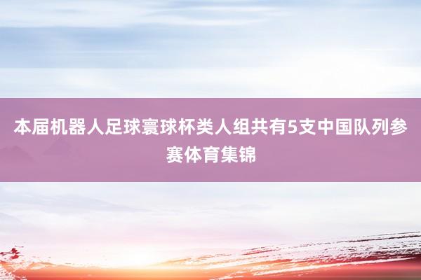 本届机器人足球寰球杯类人组共有5支中国队列参赛体育集锦