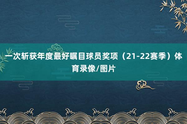 一次斩获年度最好瞩目球员奖项（21-22赛季）体育录像/图片