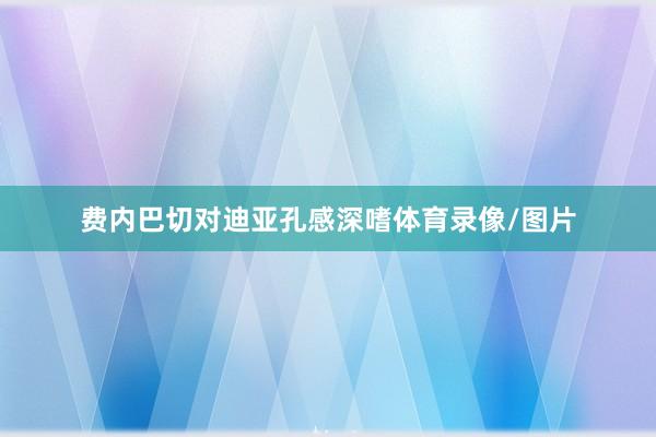 费内巴切对迪亚孔感深嗜体育录像/图片