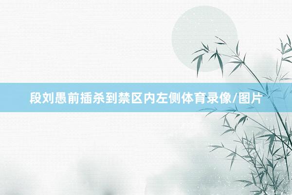 段刘愚前插杀到禁区内左侧体育录像/图片