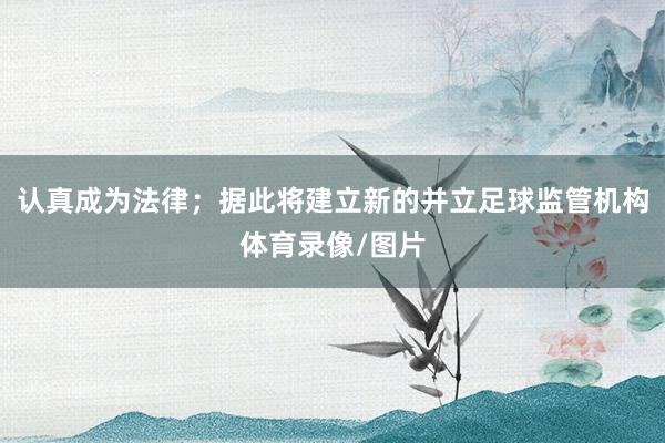 认真成为法律；据此将建立新的并立足球监管机构体育录像/图片