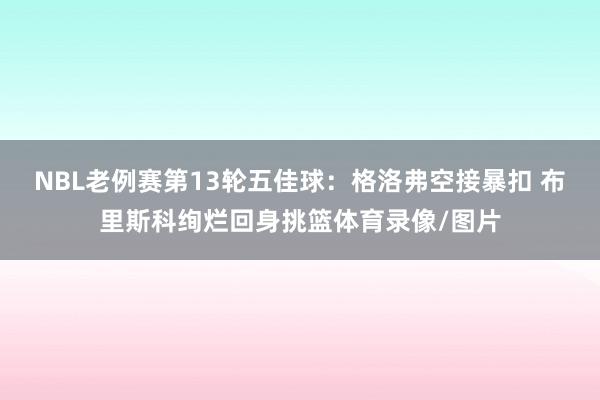 NBL老例赛第13轮五佳球：格洛弗空接暴扣 布里斯科绚烂回身挑篮体育录像/图片