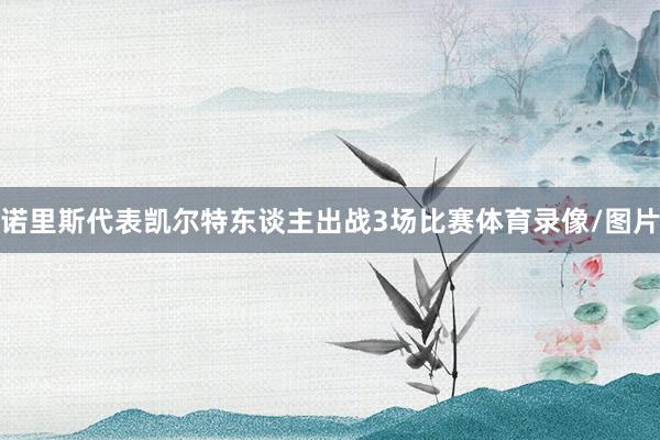 诺里斯代表凯尔特东谈主出战3场比赛体育录像/图片