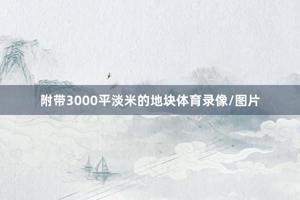 附带3000平淡米的地块体育录像/图片