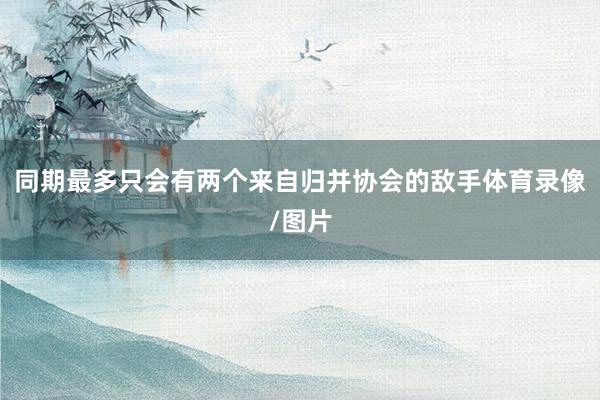 同期最多只会有两个来自归并协会的敌手体育录像/图片