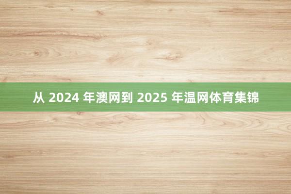 从 2024 年澳网到 2025 年温网体育集锦