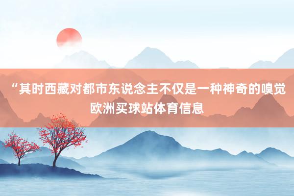 “其时西藏对都市东说念主不仅是一种神奇的嗅觉欧洲买球站体育信息