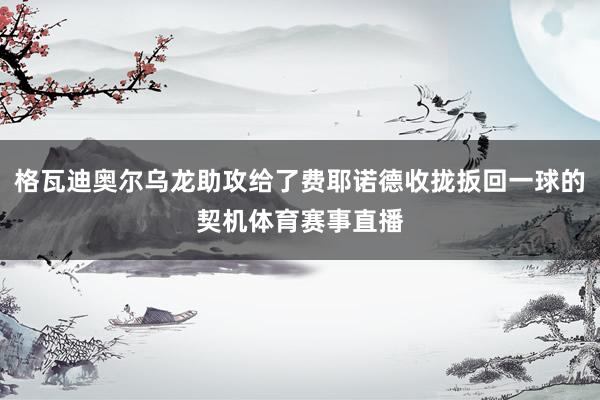 格瓦迪奥尔乌龙助攻给了费耶诺德收拢扳回一球的契机体育赛事直播
