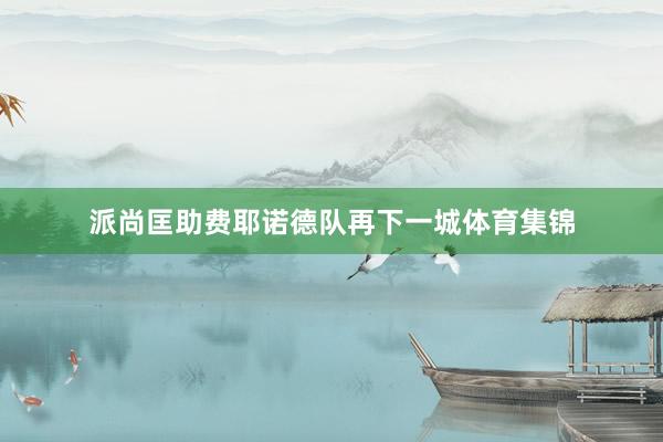 派尚匡助费耶诺德队再下一城体育集锦