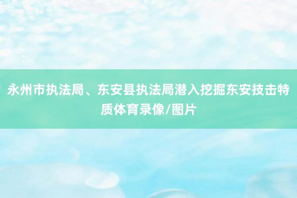 永州市执法局、东安县执法局潜入挖掘东安技击特质体育录像/图片