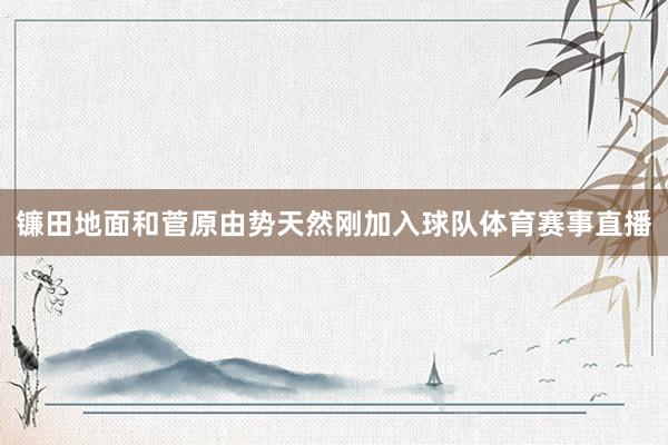 镰田地面和菅原由势天然刚加入球队体育赛事直播